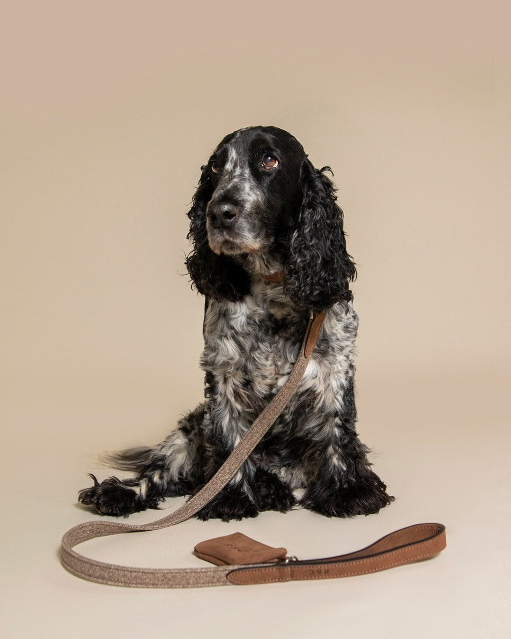 Fabric & Leather Collar - Sherbourne