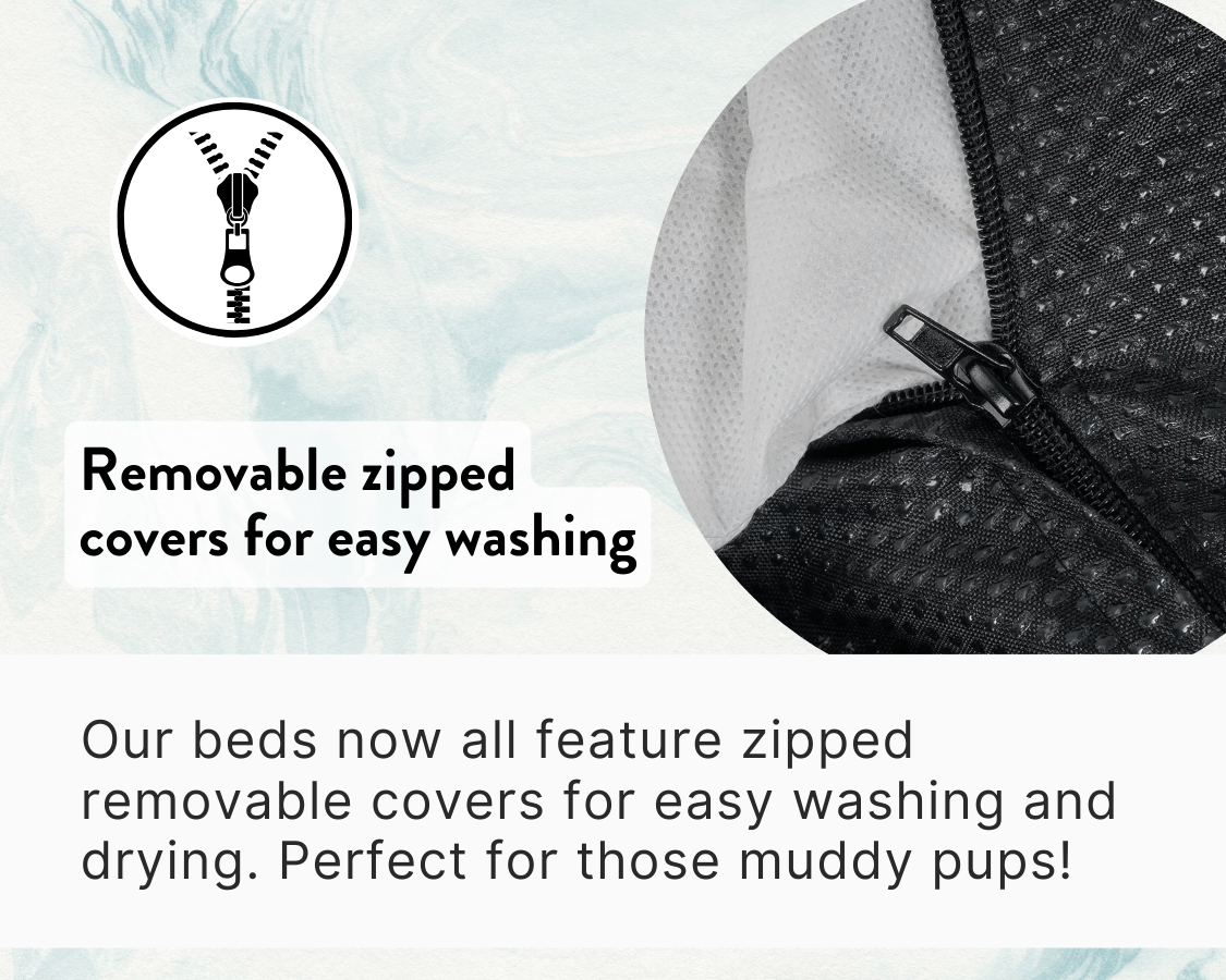 Waterproof Dog Bed | Ascot